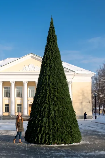 Уличная ель Русская каркасная зелёная
