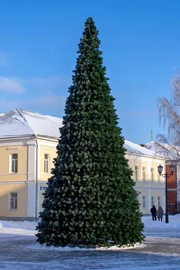 Уличная сосна Уральская каркасная зелёная