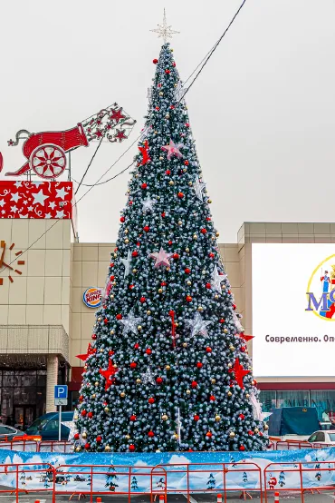 Уличная сосна Уральская каркасная с белыми кончиками