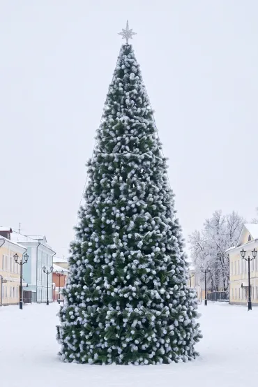 Уличная сосна Уральская каркасная с белыми кончиками