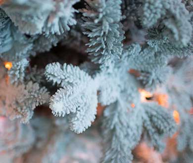 Искусственные заснеженные ёлки в Москве